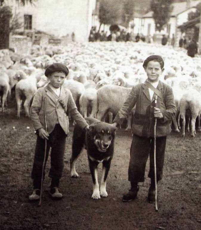 Dos zagales con su perro y ovejas trashumantes en el pueblo- Foto antigua