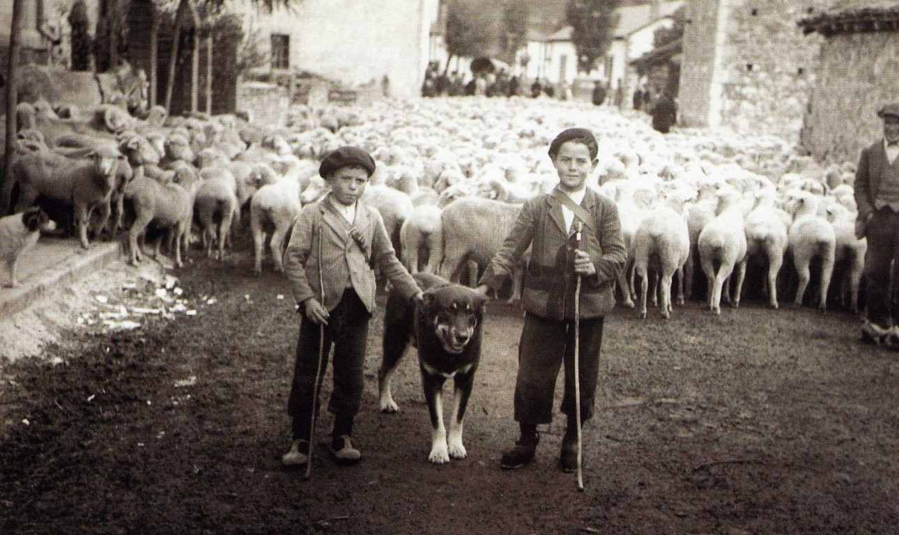 Dos zagales con su perro y ovejas trashumantes en el pueblo- Foto antigua