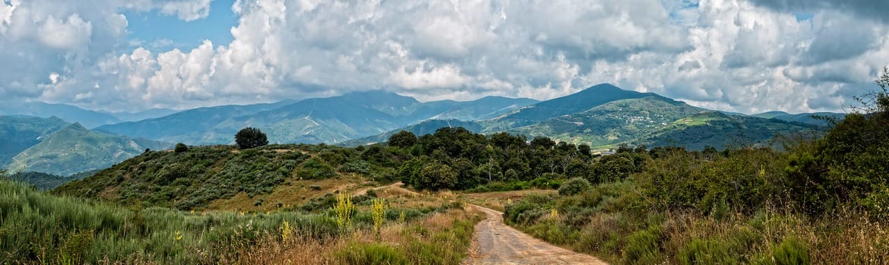 Camino a los bosques de castaños certificados por PEFC Corullón-trazabilidad agujas de punto-made in slow-