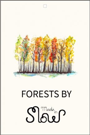 ETIQUETA FORESTS BY MADE IN SLOW-TRAZABILIDAD AGUJAS PUNTO-LAS HIDALGAS ETIQUETA FORESTS BY MADE IN SLOW-TRAZABILIDAD AGUJAS PUNTO-LAS HIDALGAS